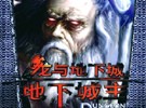 《龙与地下城：地下城主》中文破解版下载