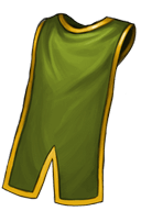 Holy Envoy's Cloak